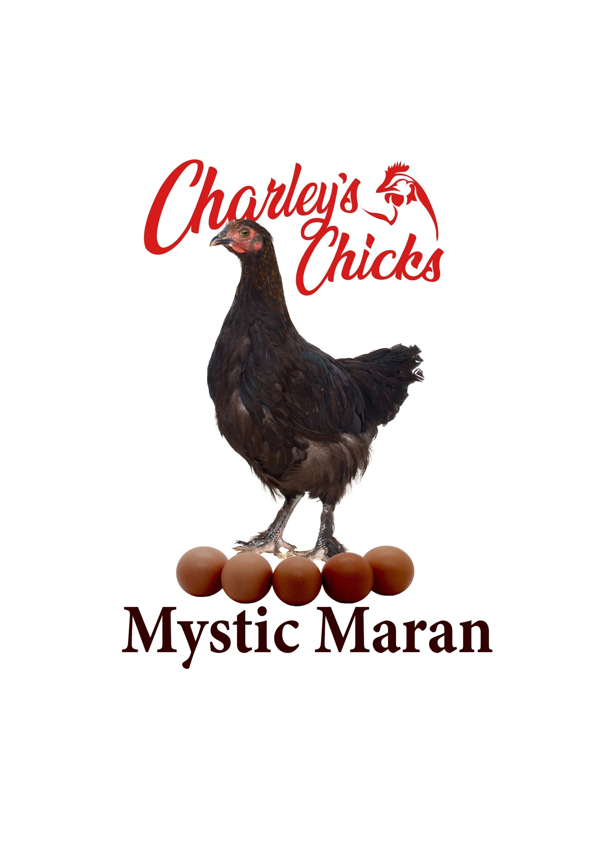 Mystic Maran - Feb 21 Pickup