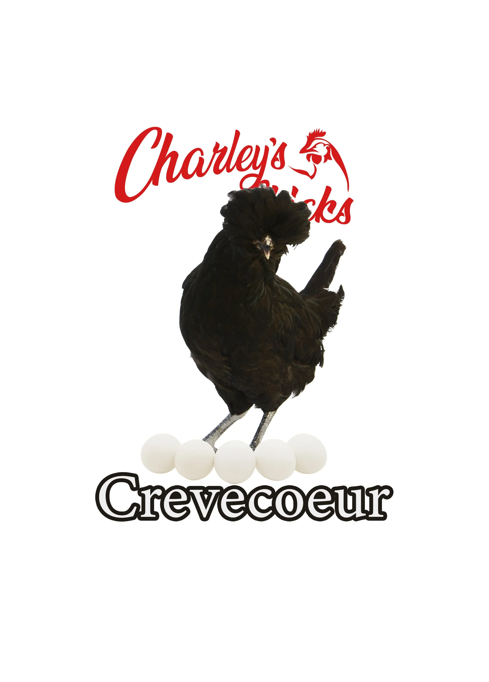 CREVECOEUR_RTL.jpg