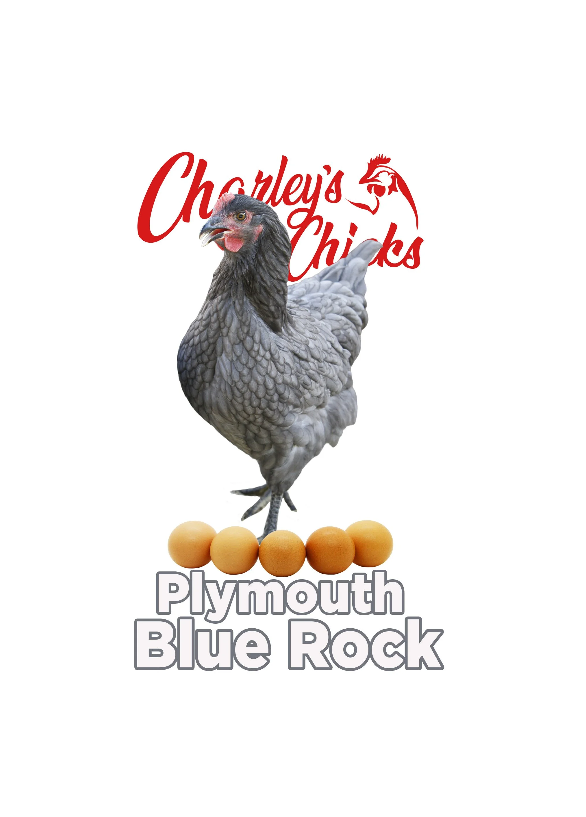 BLUE ROCK FEATURED IMAGE.jpg