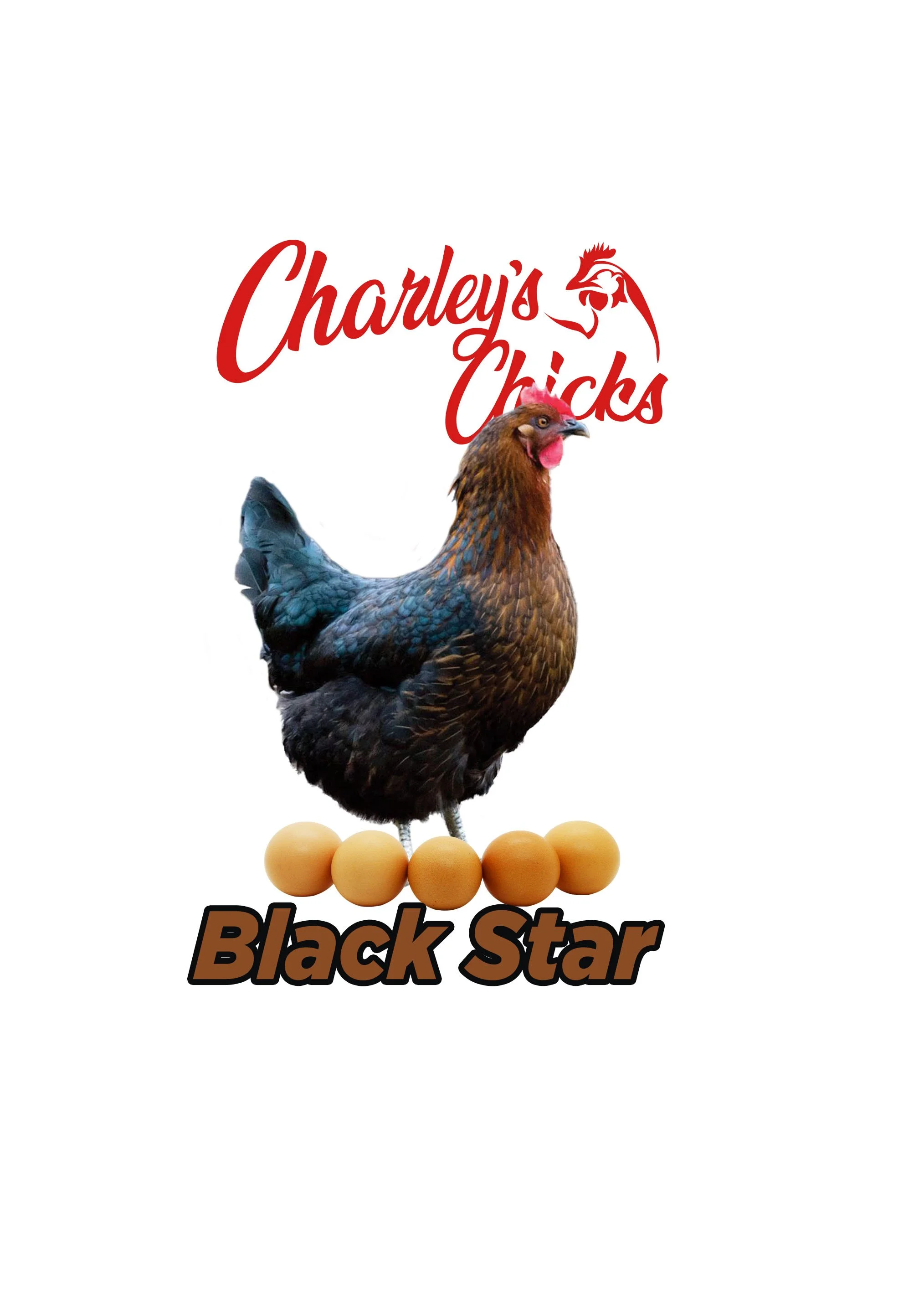 BLACK STAR_RTL.jpg