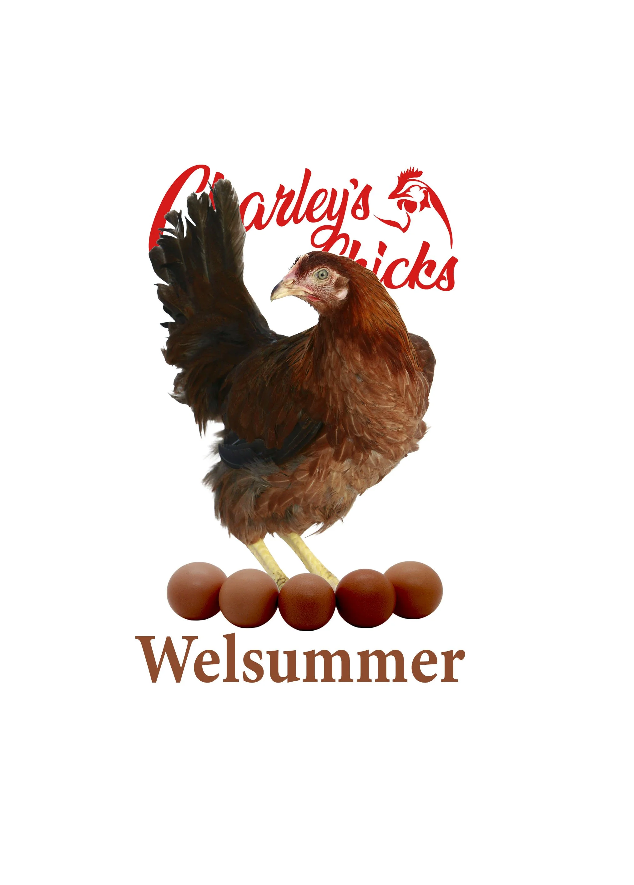 WELSUMMER FEATURED IMAGE.jpg