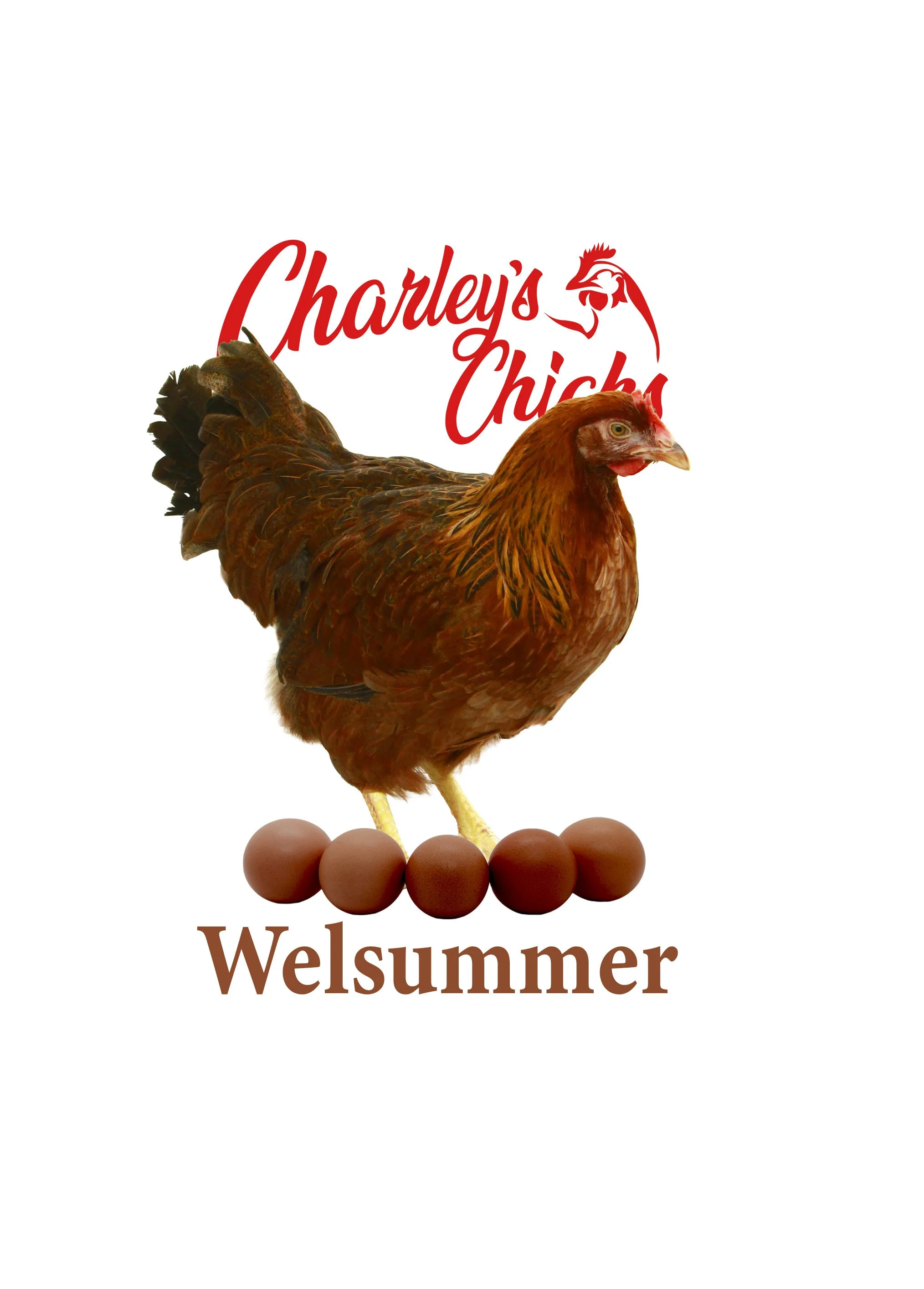WELSUMMER FEATURED IMAGE_02.jpg