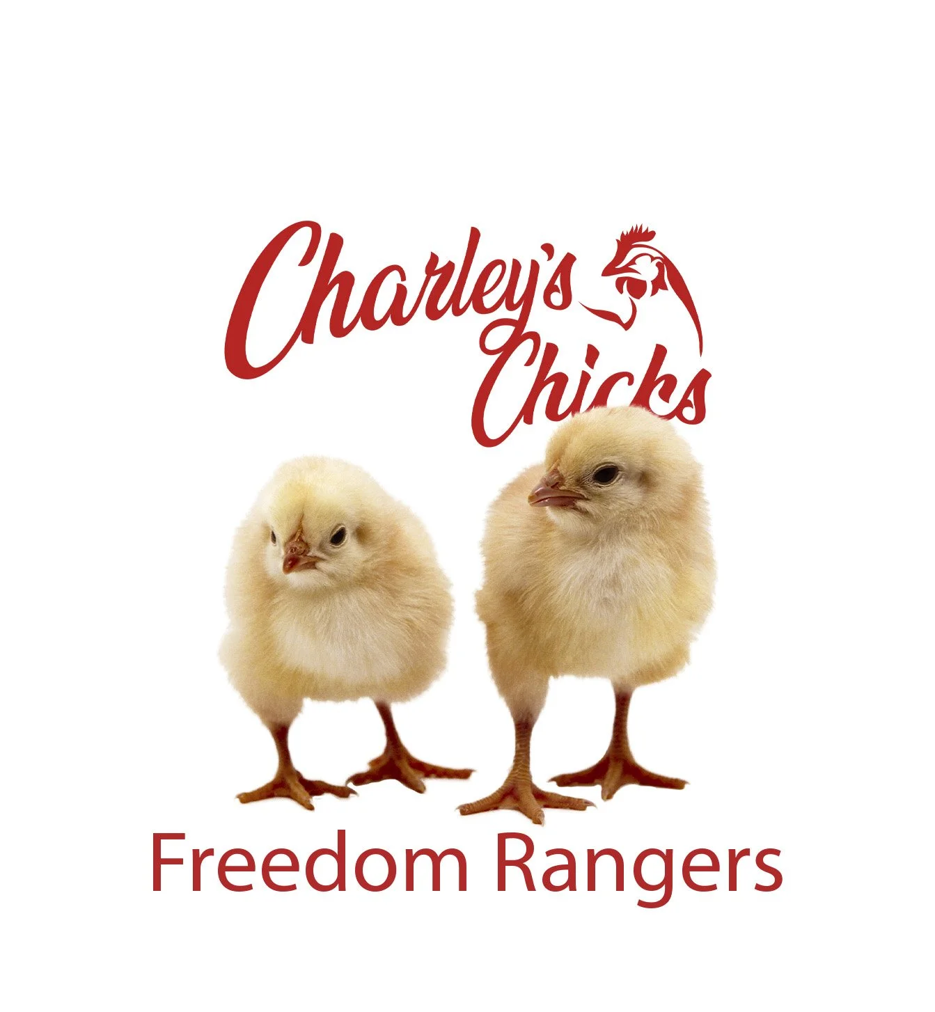 FREEDOM RANGERS_IMAGE.jpg