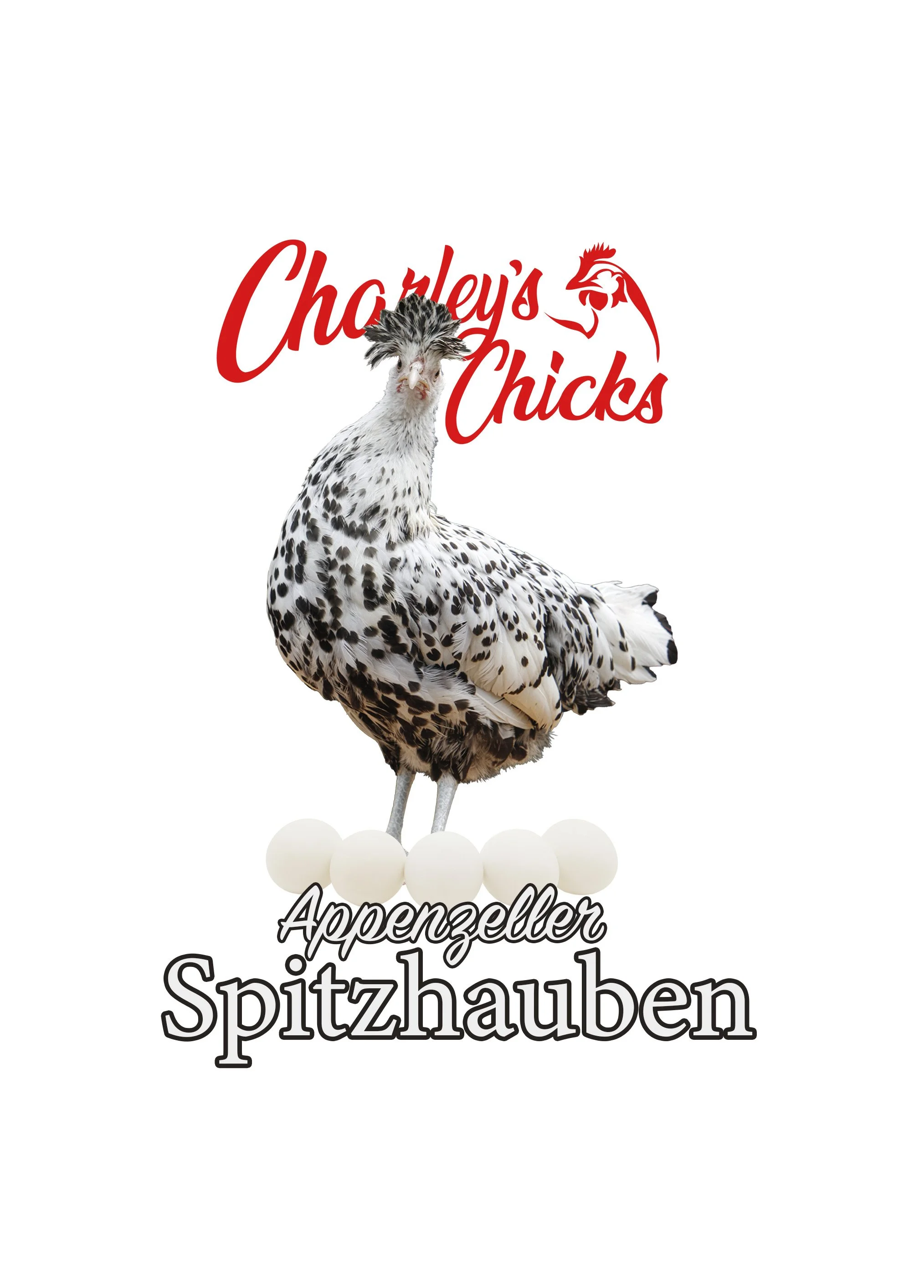 Appenzeller Spitzhauben - Oct 24 Pickup