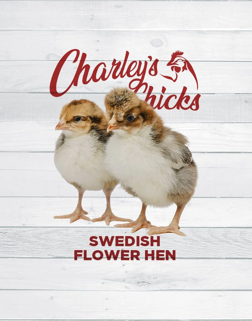 SWEDISH FLOWER HEN_SITE FEATURED IMAGE.jpg