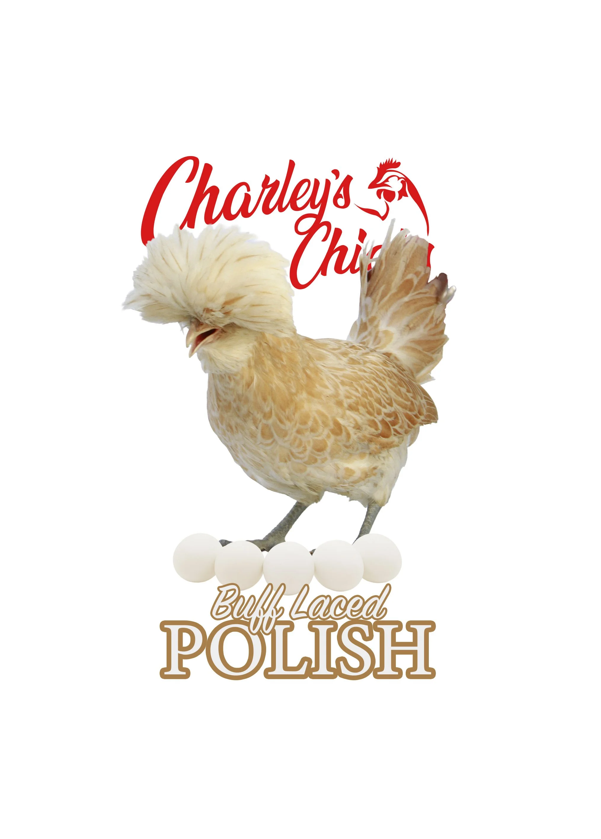 Buff Laced Polish - July 18 Pickup