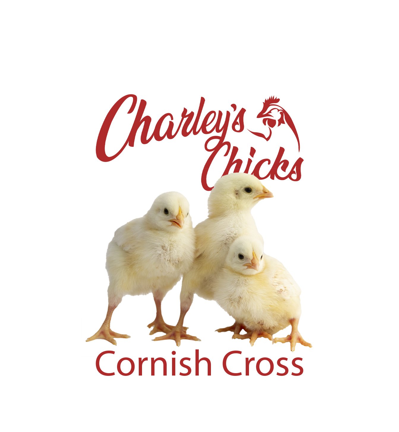 CORNISH CROSS_PRE ORDER.jpg