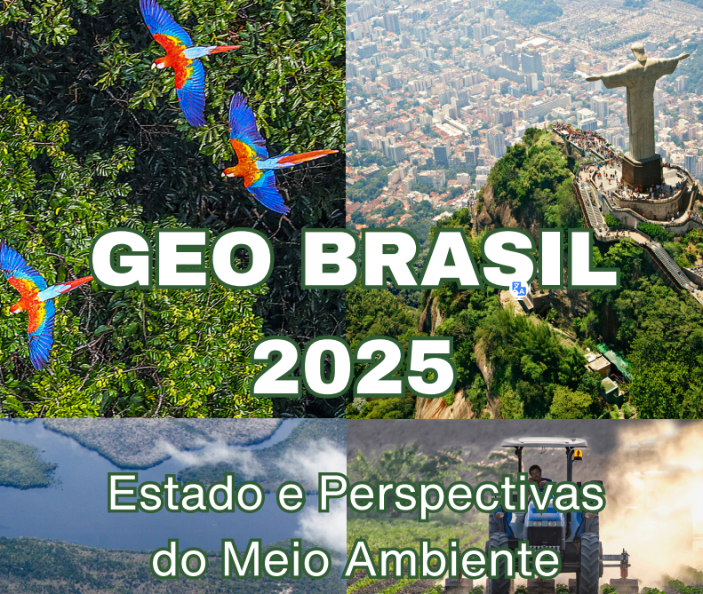 RFS na Publicação 2025 Geo Brasil - Aprendizados do Memoria Climática e Carta COP