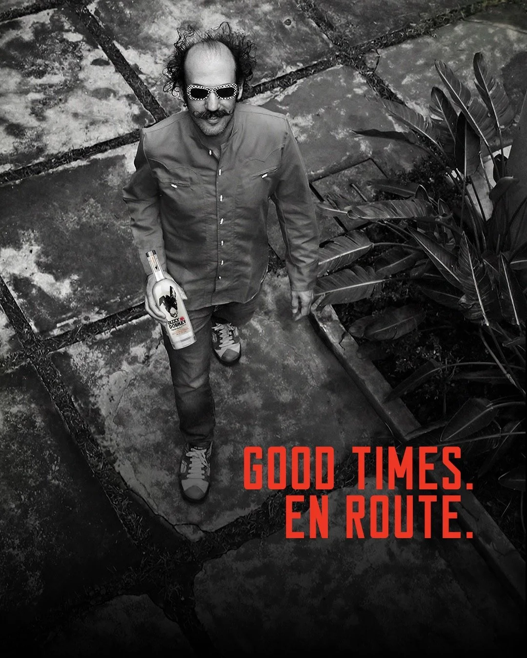 You'll always be the guest of honor when Dizzy Donkey is your plus one.

❗️Now available to purchase online at www.thedizzydonkey.com ❗️

#dizzydonkeytequlia
#tequlia
#tequliacocktails
#crafttequila
#drinkresponsibly