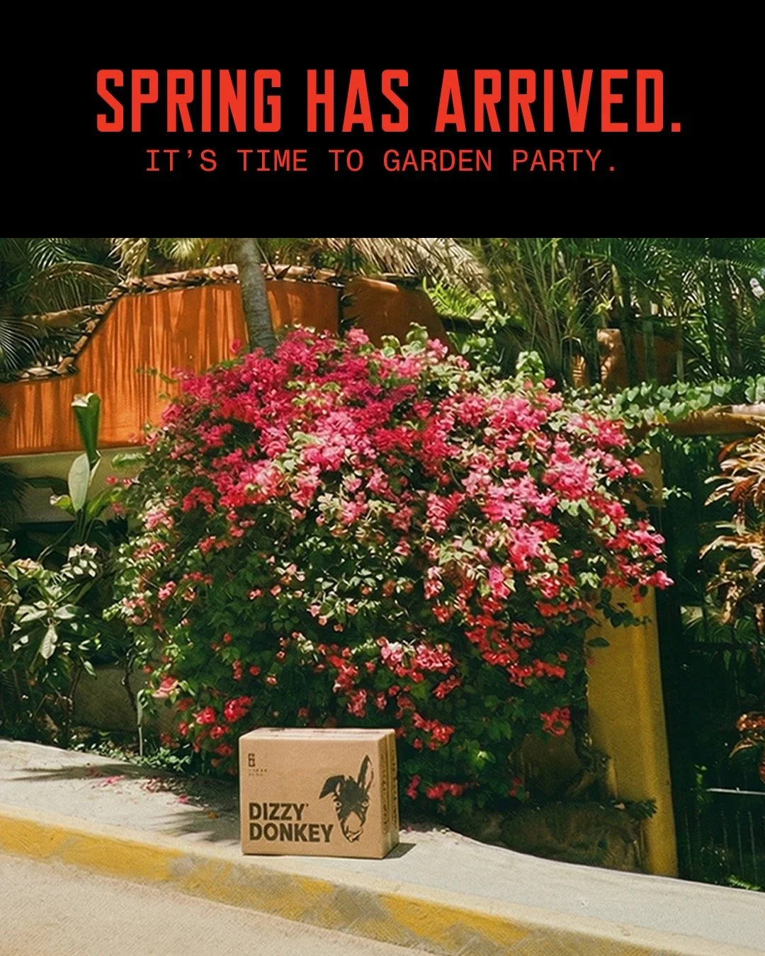 It's spring! Time to enjoy the fresh air and smoothest tequila. 
Now available online at www.thedizzydonkey.com
#dizzydonkeytequlia
#tequlia
#tequliacocktails
#crafttequila
#drinkresponsibly #seasons #spring #equinox