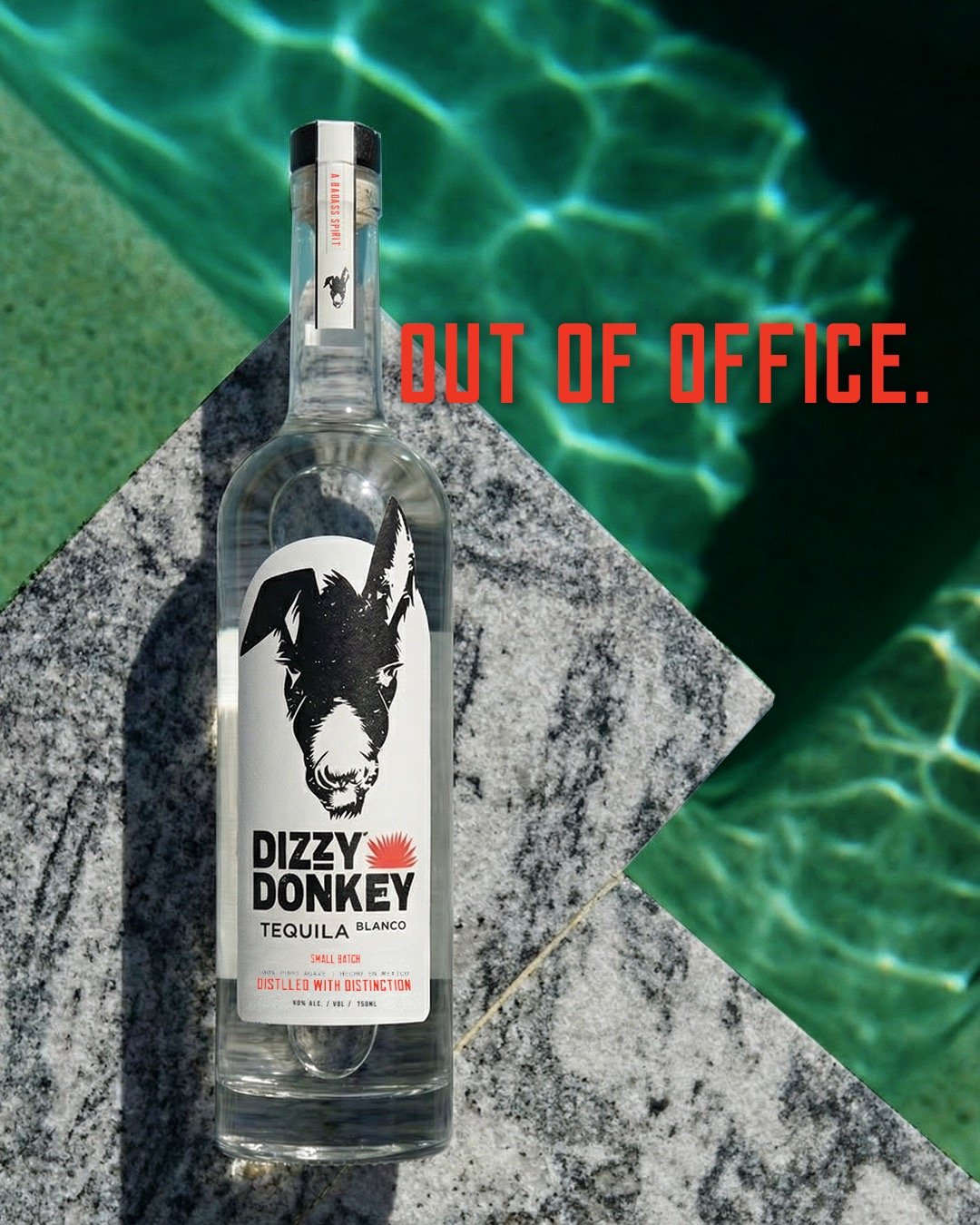 Phones silent. Music loud. It&rsquo;s festival season. 

#dizzydonkeytequlia #tequlia #tequliacocktails #crafttequila #drinkresponsibly #poolparty #festivalseason #coachella