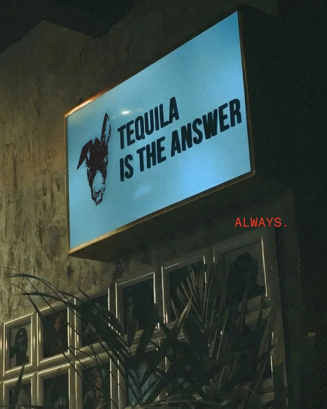 Never in doubt. #dizzydonkeytequlia
#tequlia
#tequliacocktails
#crafttequila
#drinkresponsibly