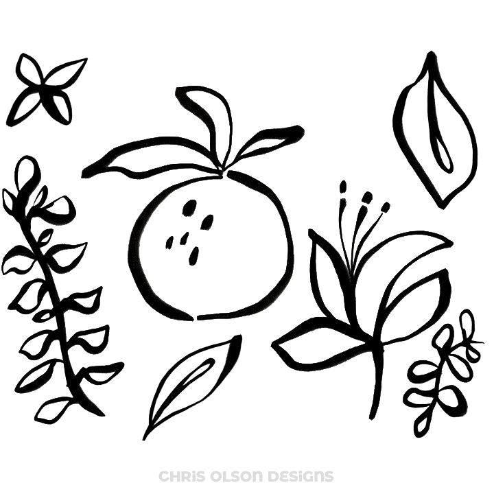 Single Illustration option