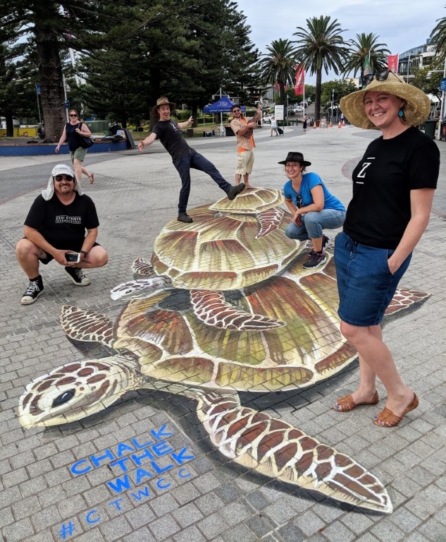ctwcc-3d-chalk-art-turtle-zestei-team-4.jpeg