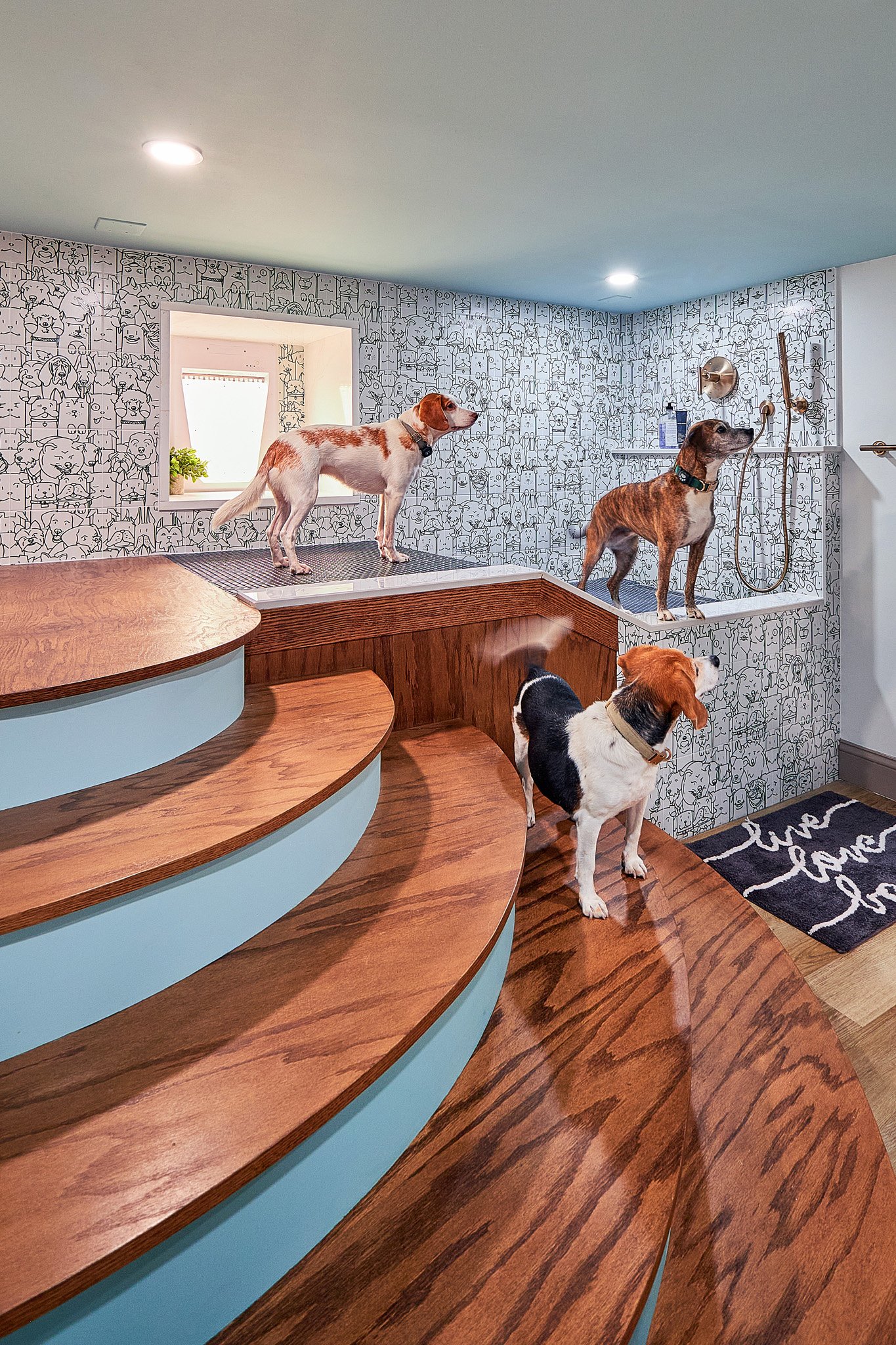 Creative home basement redesign by Benita Cooper Design, architect and interior designer based in Haddonfield, New Jersey, serving all of Greater Philadelphia