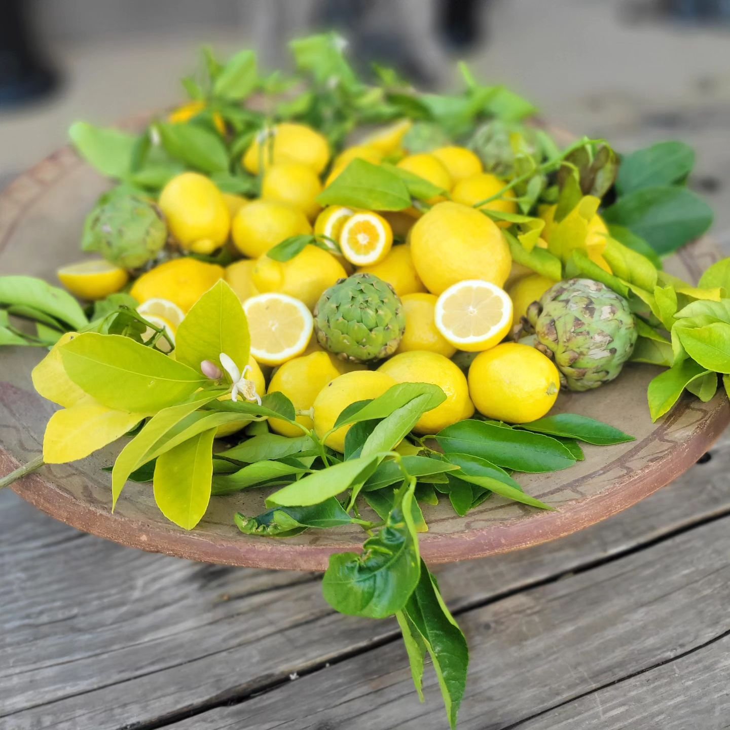 🍋🍃

#gatheringfeast #foodstyling #lemon #lemons