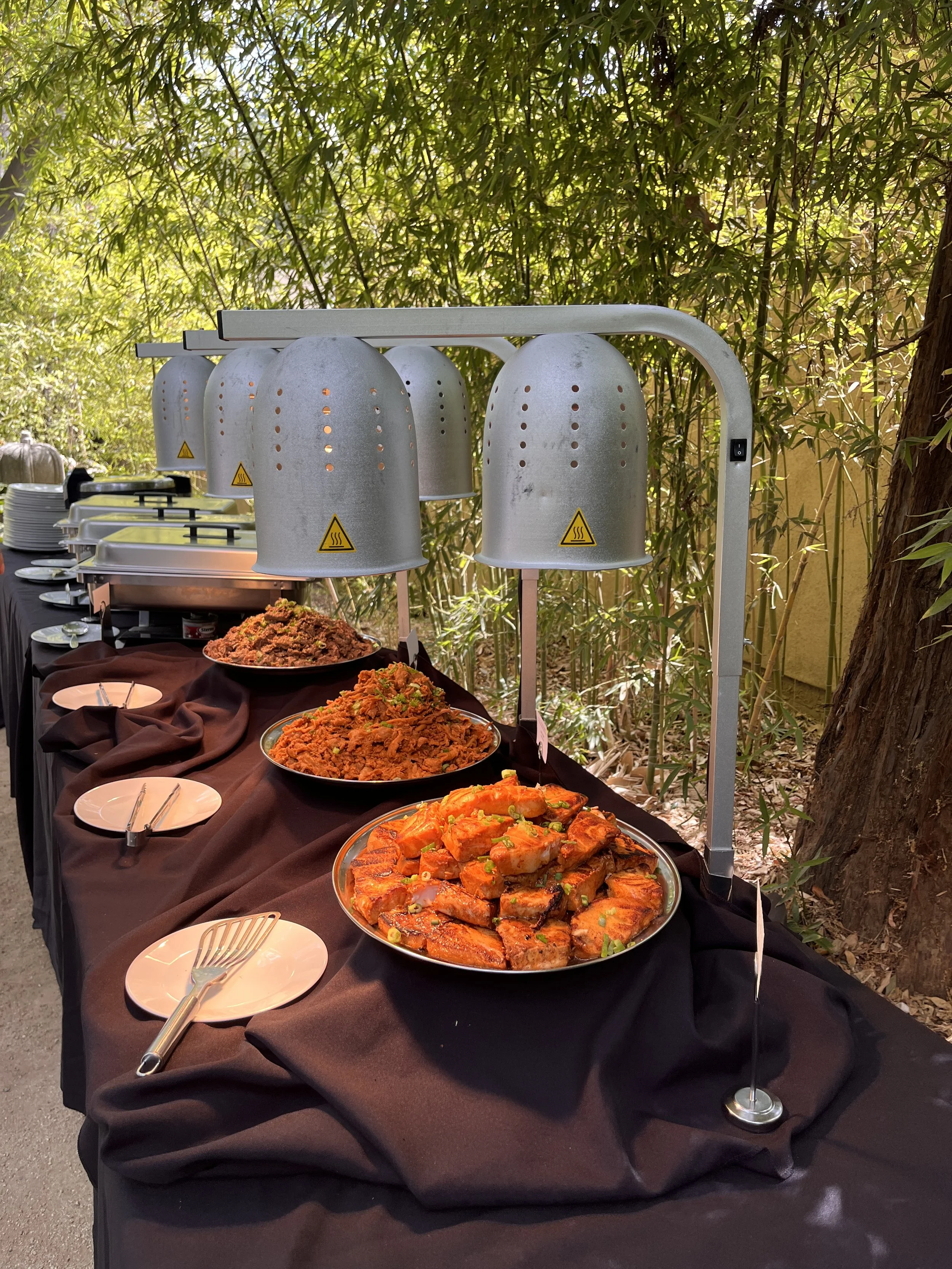 Buffet table with various dishes of grilled meats and vegetables, covered with black cloth, outdoors with trees and bamboo in the background.