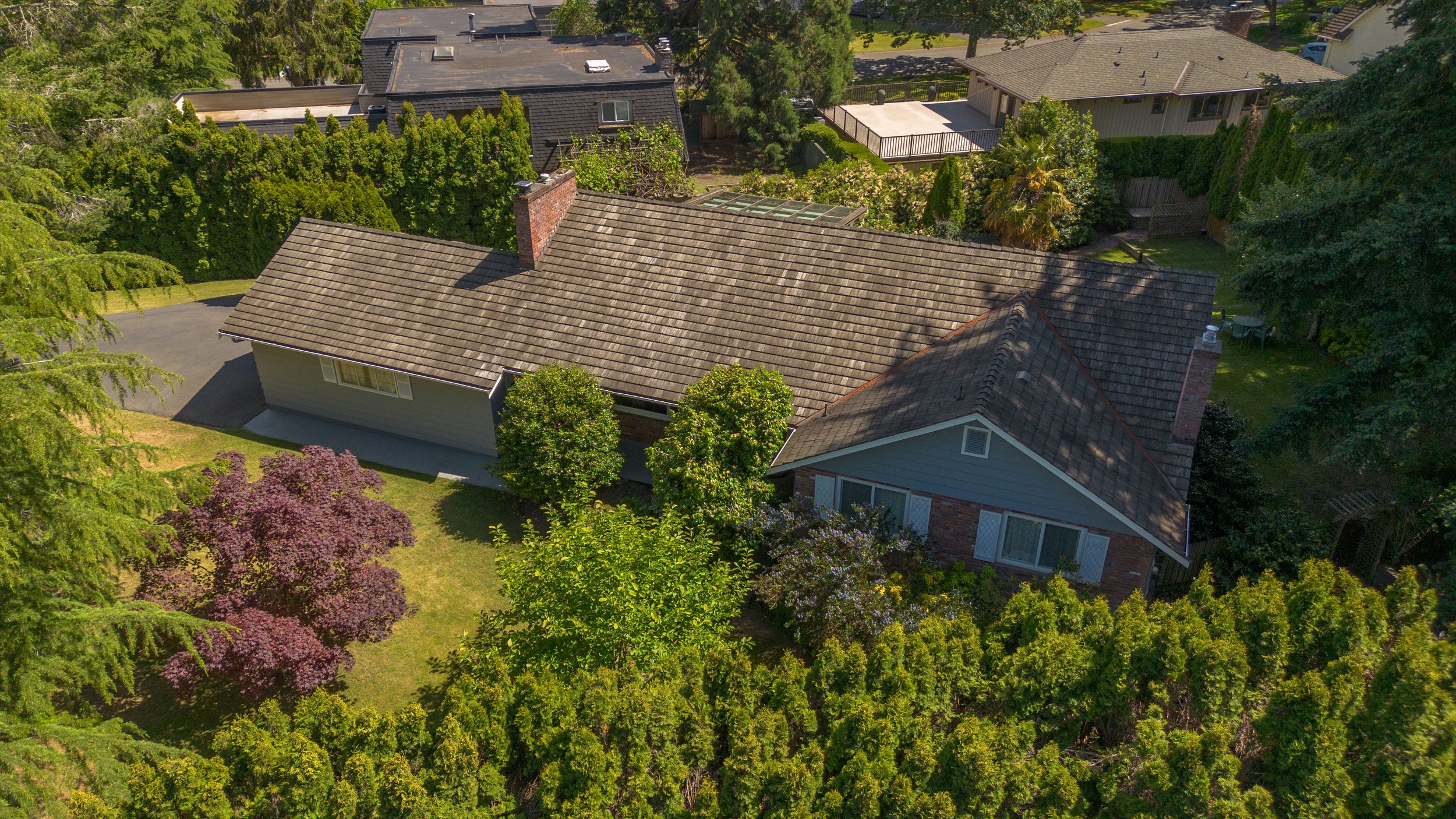 DJI_0488.jpg