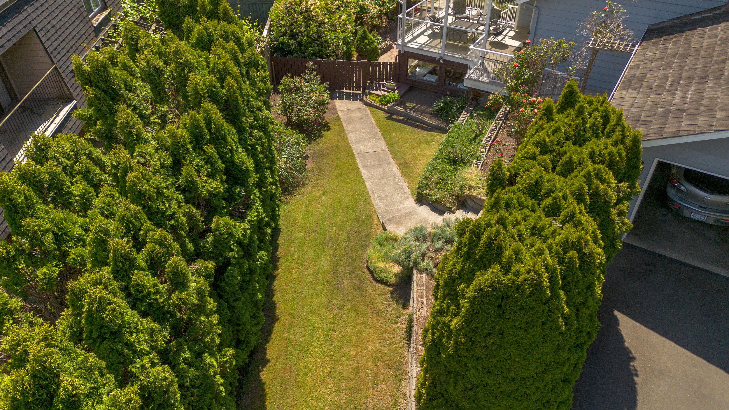DJI_0481.jpg