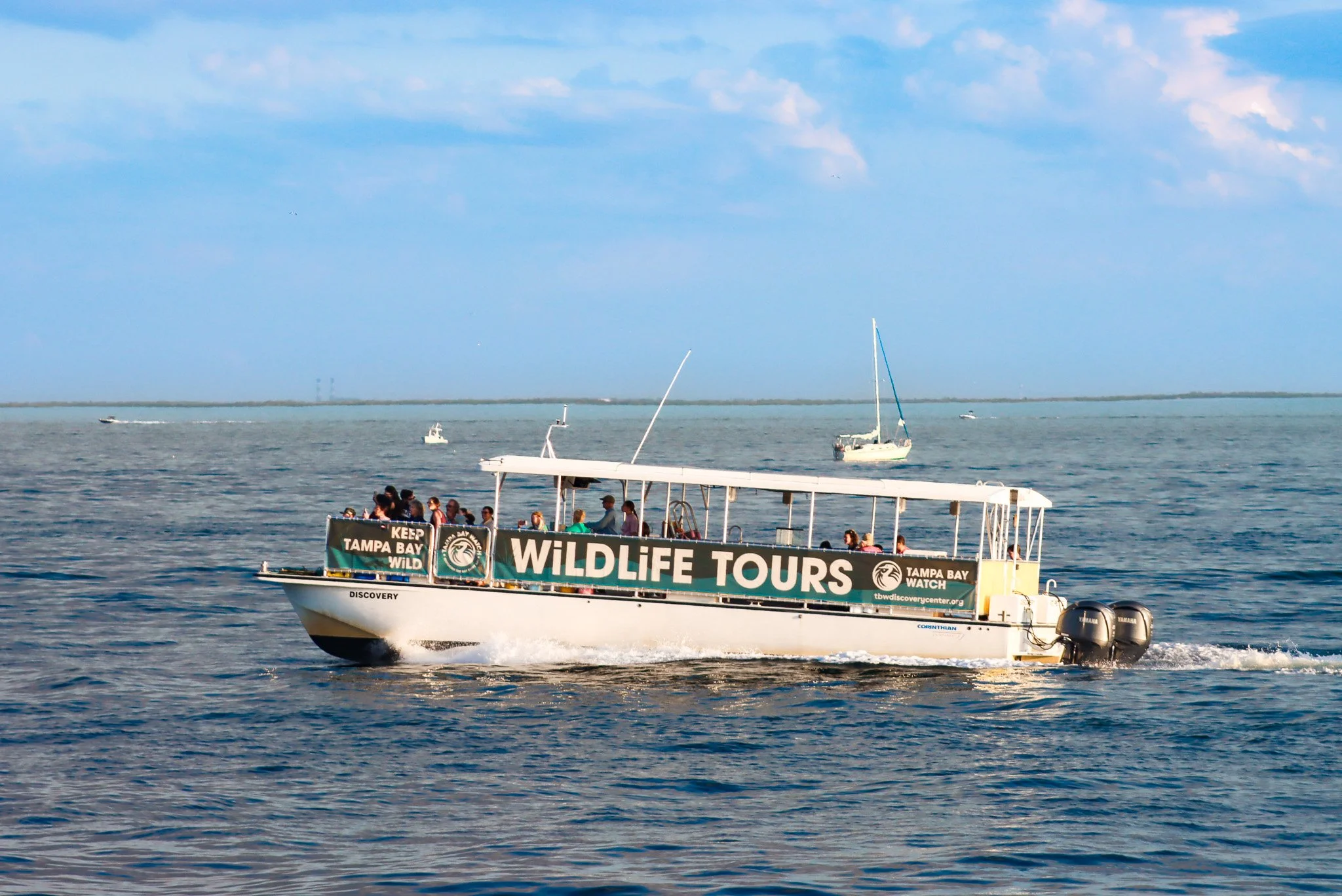 Wildlife Boat Tour Tourist Activity for Private Charters and st Pete vacations