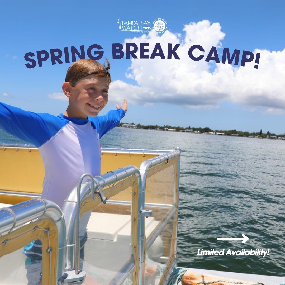 📣Spring Break Camp Alert-Limited Availability 👇

🐢Discovery Center on the Pier, spaces are going fast! Limited full-week spots and drop-in days are available. Secure your child's spot for an unforgettable spring break adventure!
https://www.tbwdis