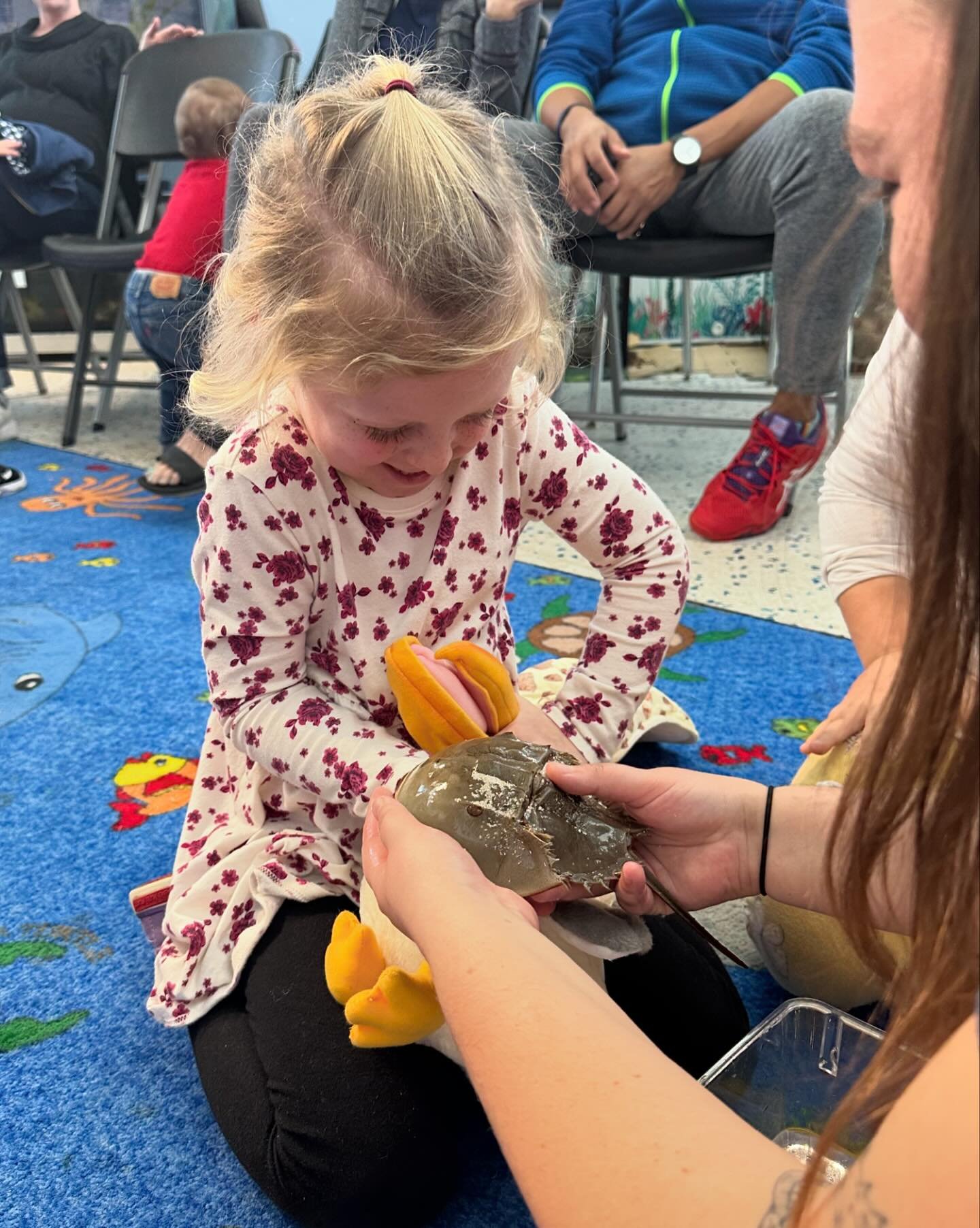 🐚🌟 Calling all young explorers ages 3-6! 🌊✨ Join us for an unforgettable adventure at our Bay Babies program, happening this weekend at the Discovery Center on the St Pete Pier! Dive into the world of Incredible Invertebrates through an interactiv
