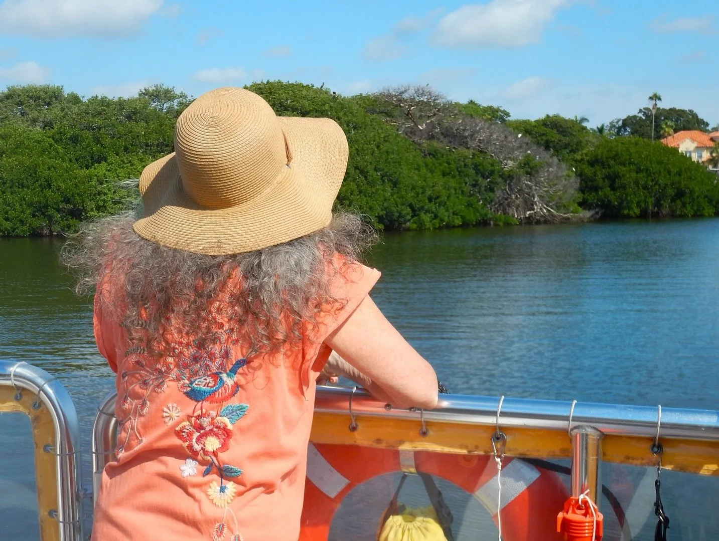 π¦Ready for a new adventure? Tomorrow, we’re launching Birding on the Bay with the MFA! In partnership with the Museum of Fine Arts, we’re bringing you an unforgettable bird-watching experience right on Tampa Bay. πβ΄οΈ
Each month through