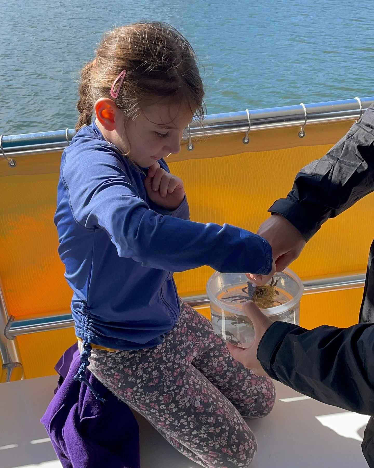 Brrr... it’s chilly out there! Whether you’re ready to enjoy the cool weather outside or stay cozy inside, the Discovery Center has something for everyone this weekend! π
π£Saturday at 11AM: Hit the water for our Sustainable Fishing Wor