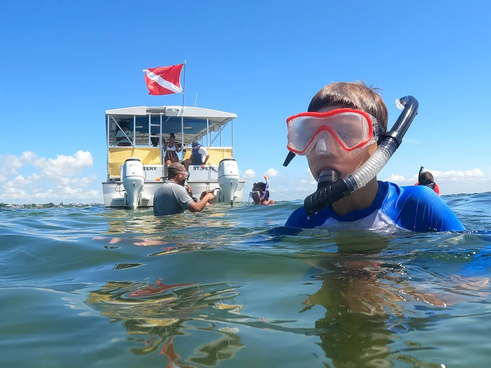 Discover the Sandbars of Tampa Bay — Tampa Bay Watch Discovery Center