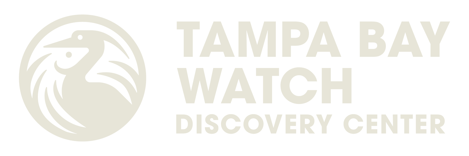 Tampa Bay Watch Discovery Center