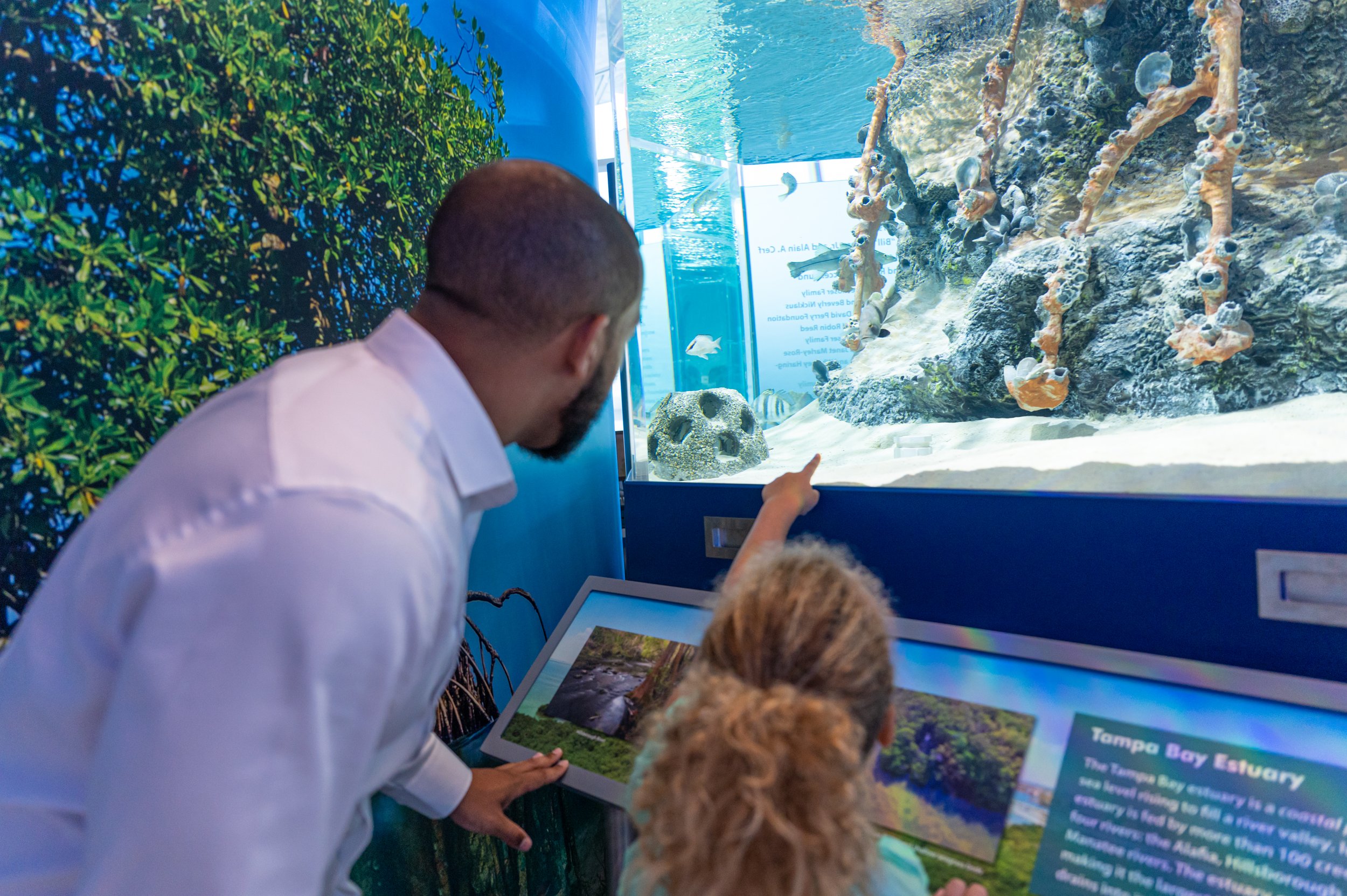 Tampa Bay Watch Discovery Center