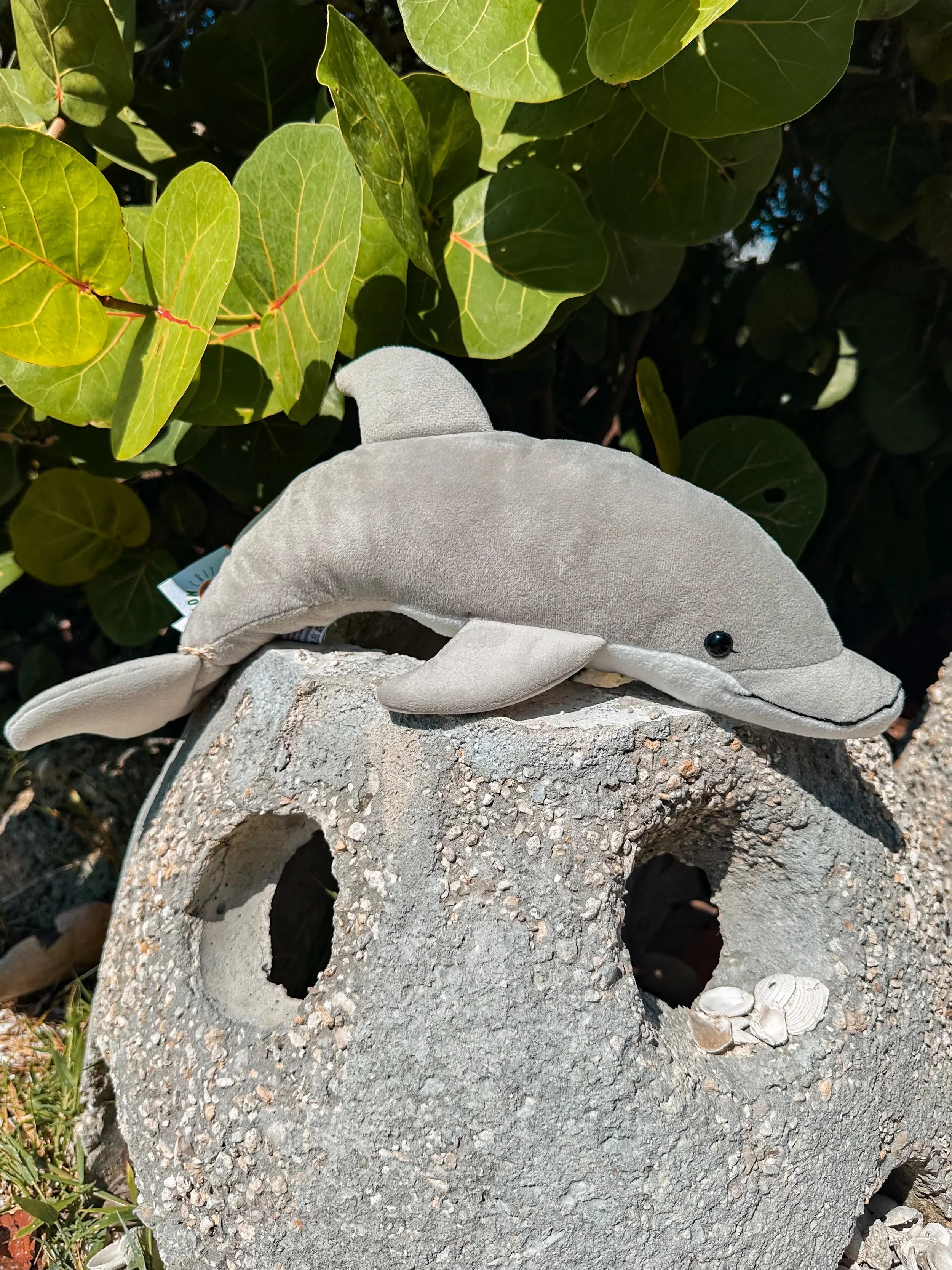 Dolphin Plush