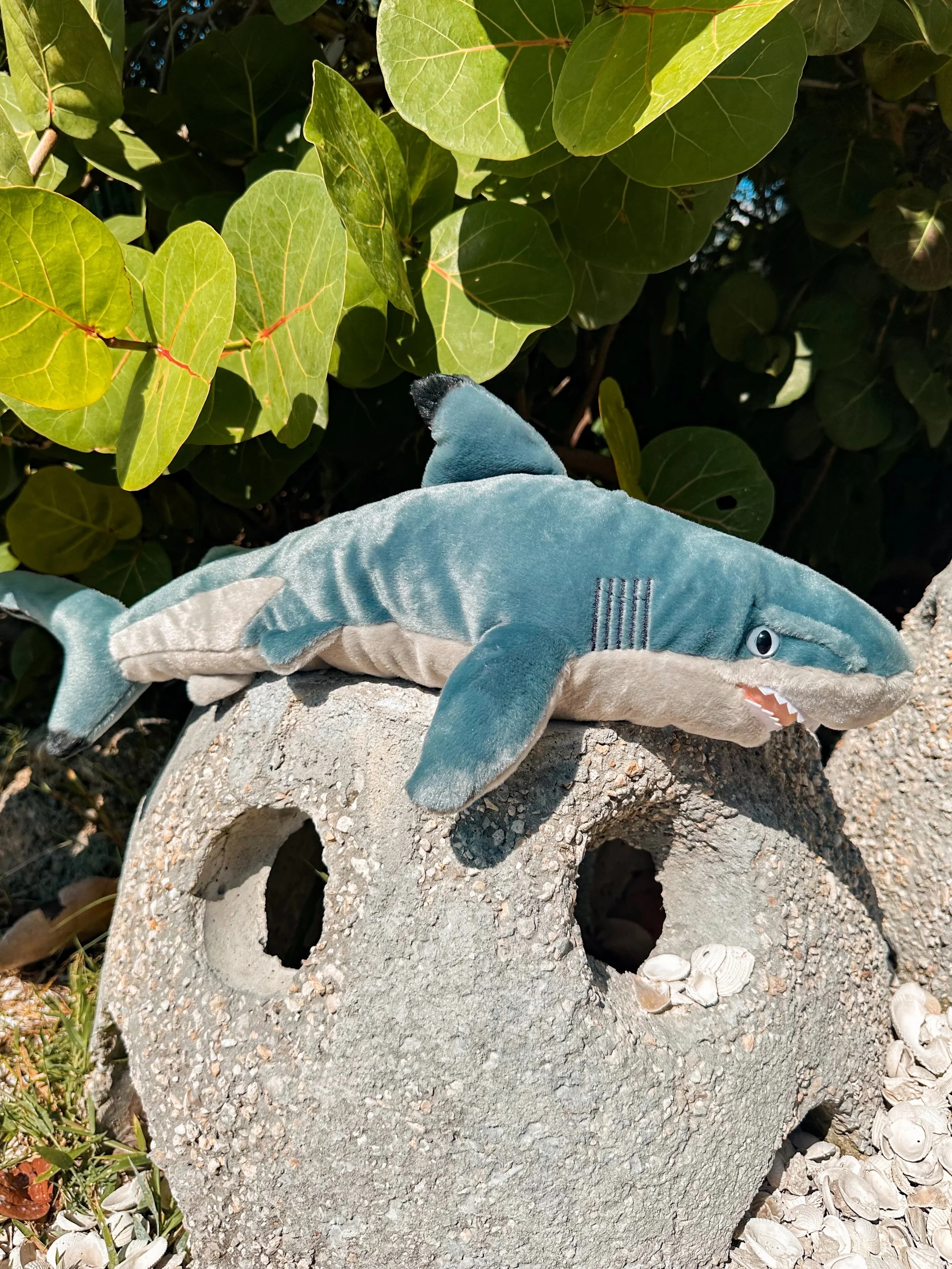 Blacktip Shark Plush