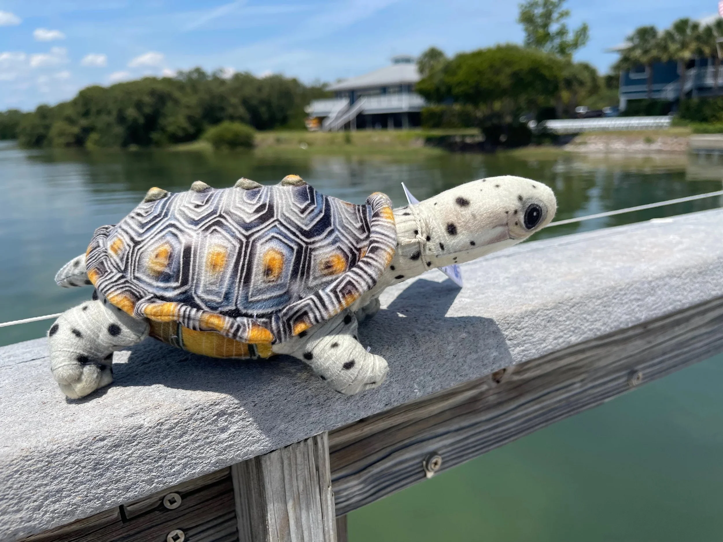 Diamondback Terrapin Plush