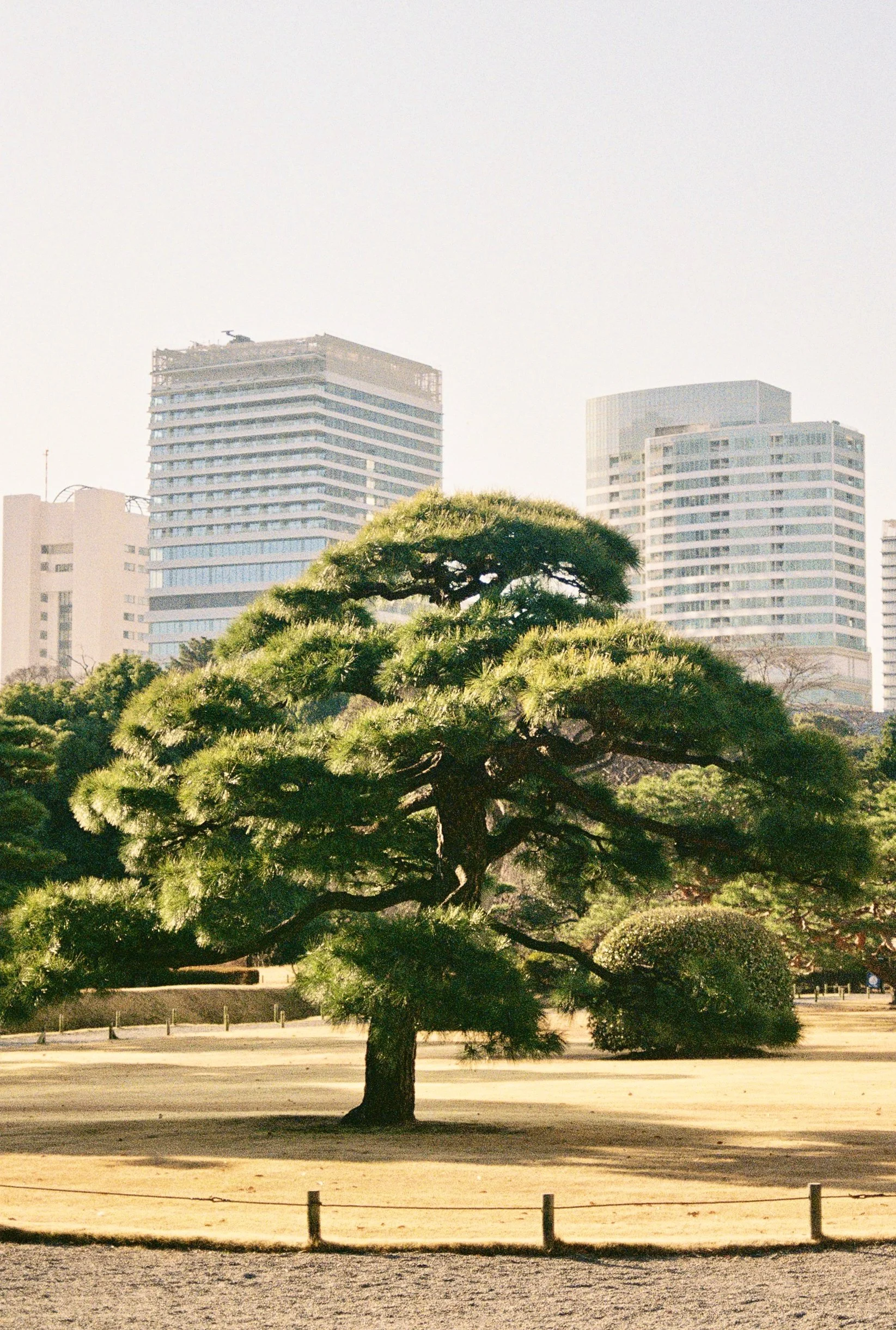 JAPAN-FILM-LOW-RES-7.jpg