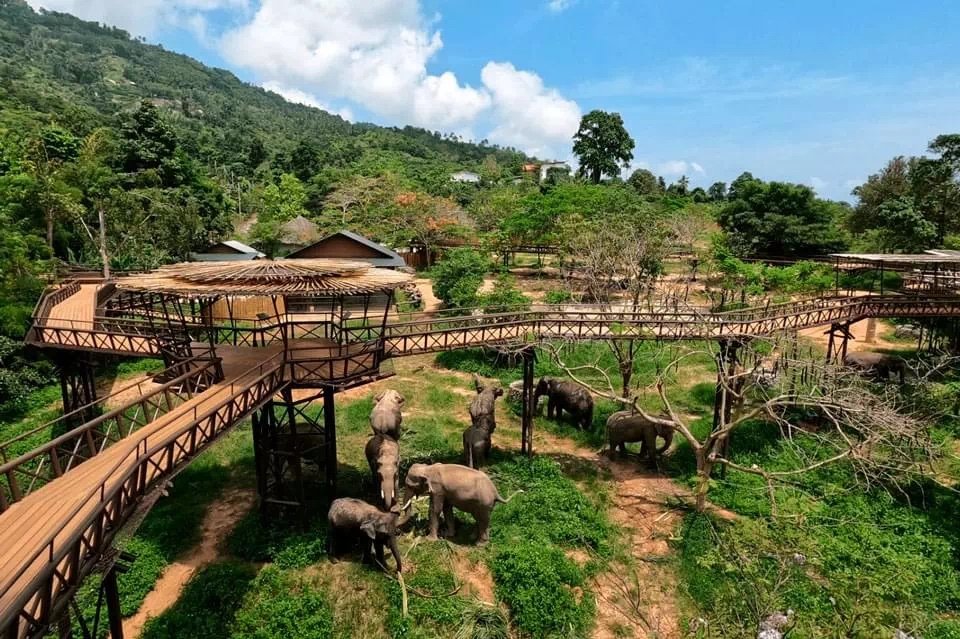 Thailand samui-elephant-kingdom-03 (1).jpg