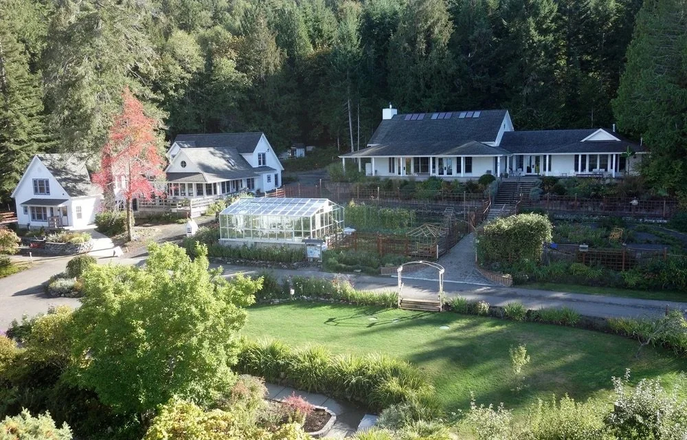 harmonyhillhealingretreat.jpg.webp