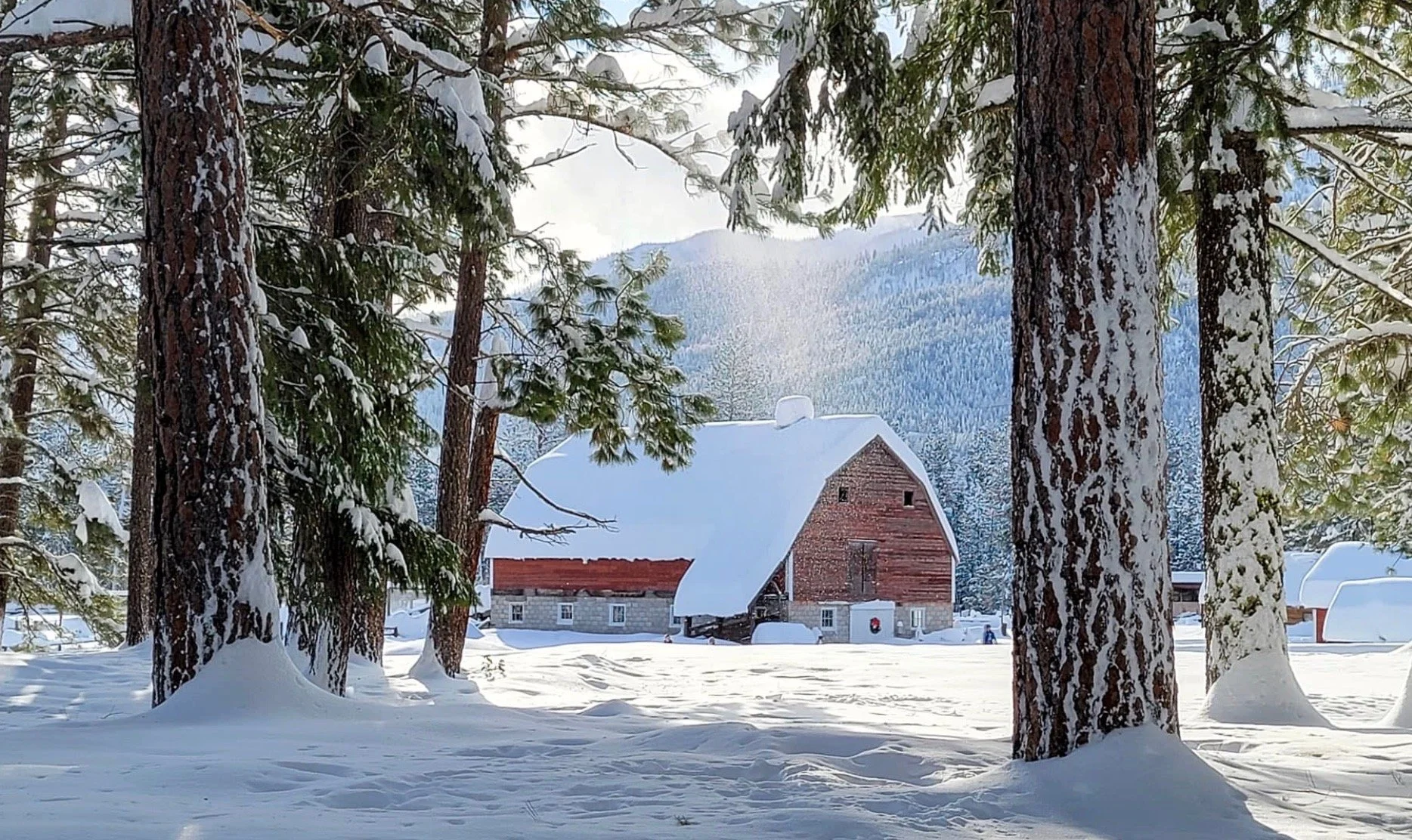 Screenshot 2025-11-21 at 10.11.21 AM.jpeg