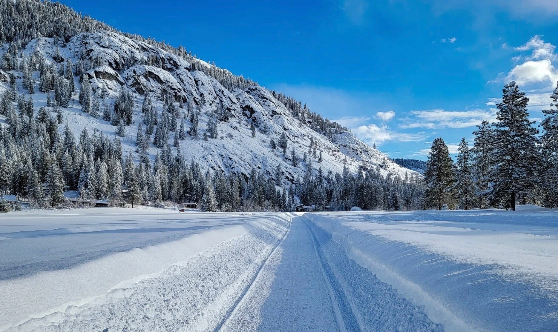 Screenshot 2025-11-21 at 10.11.10 AM.jpeg