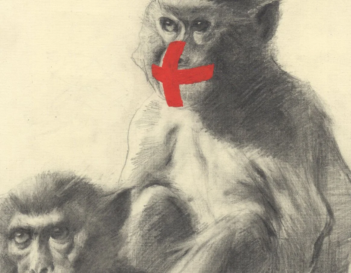 DESTINATION DRAWING / From the archives of the International Drawing Research Institute