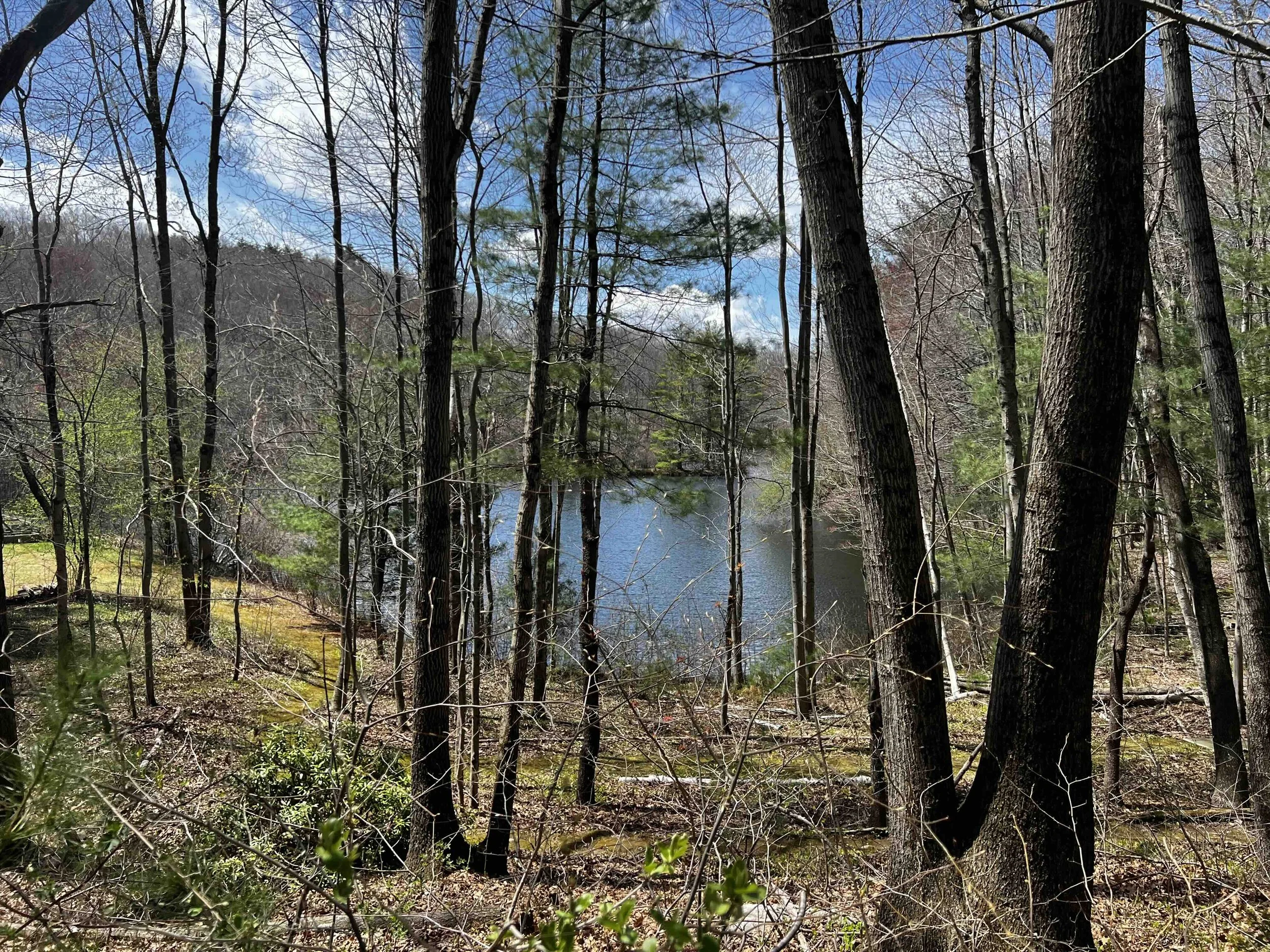 Lake Albers, the Albers Foundation, Bethany, Connecticut, USA.