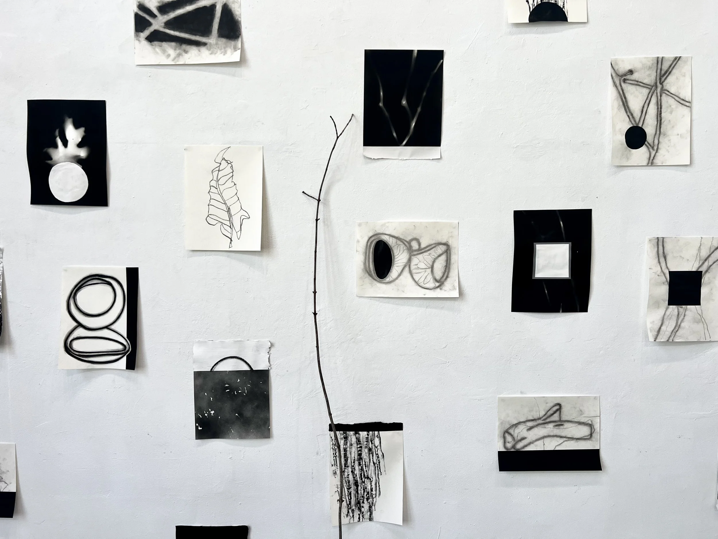 Peter Sharp + Michelle Cawthorn / SECOND FIDDLE