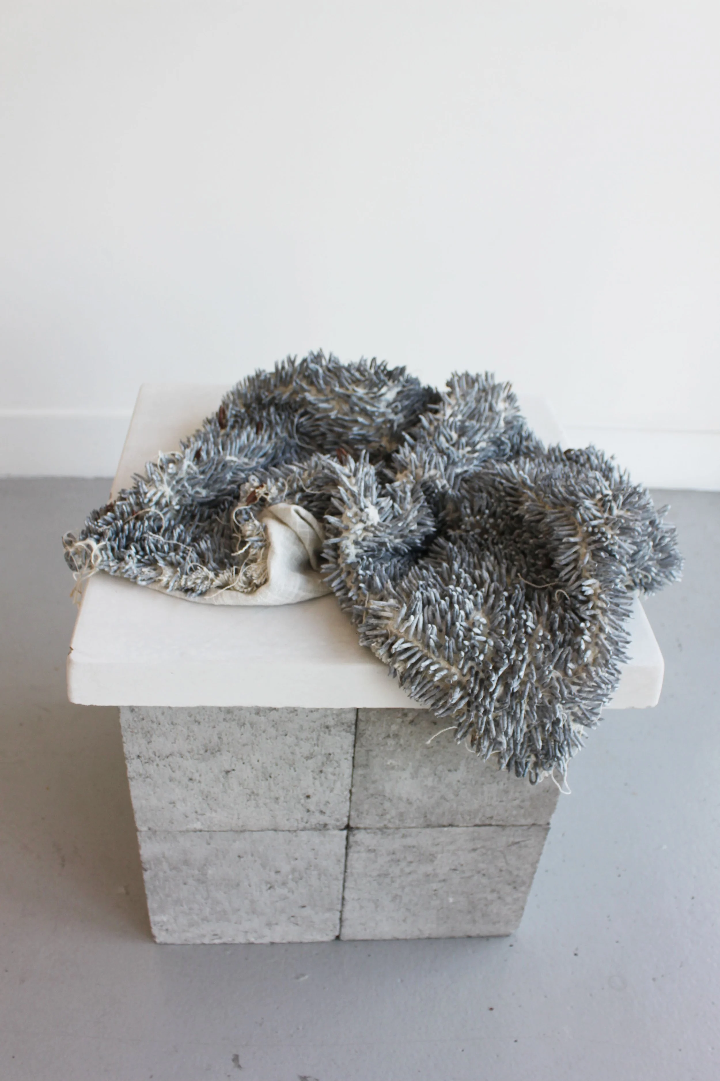 Sadhbha Cockburn - Artist Statement