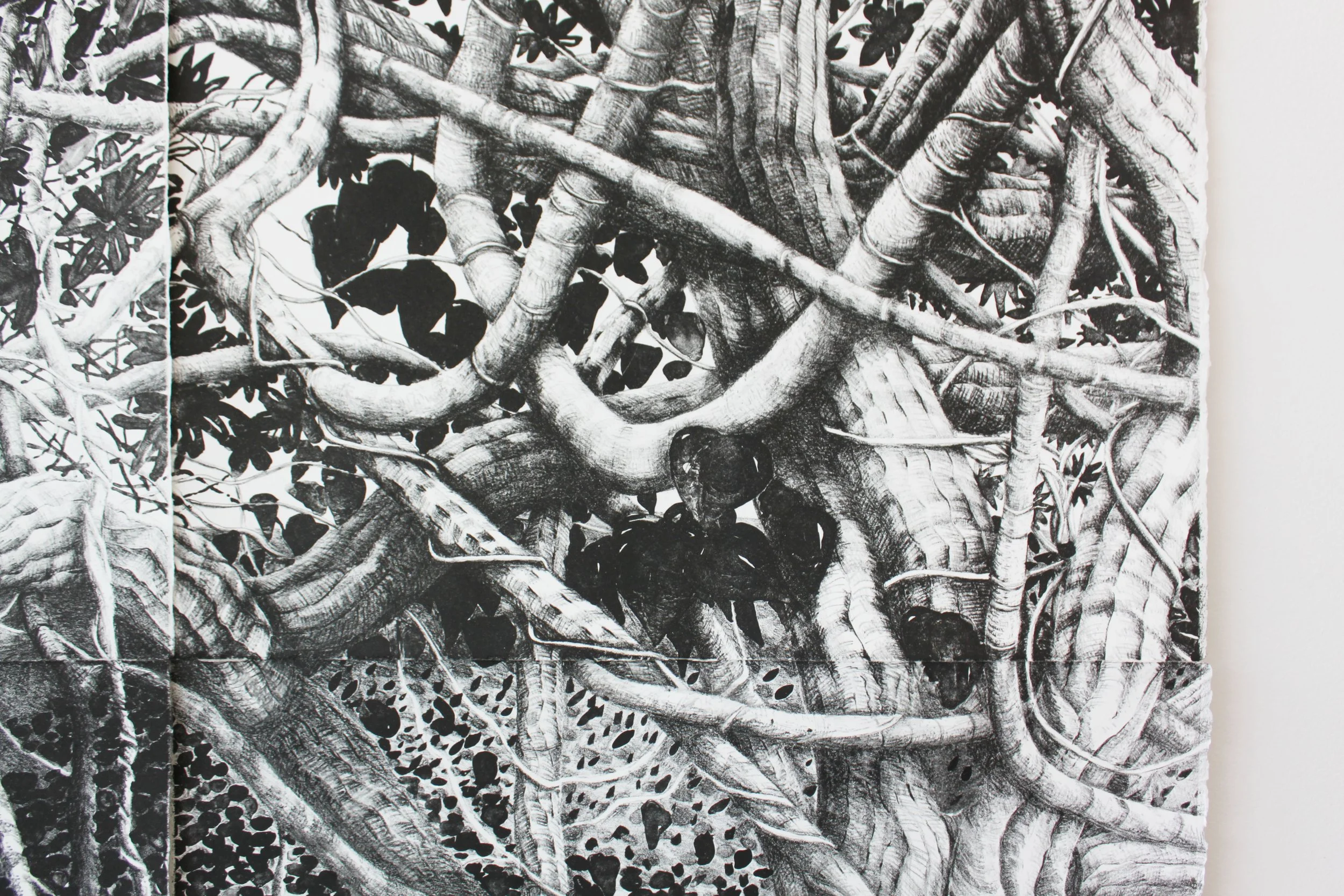 Jacqui Driver - Artist Statement