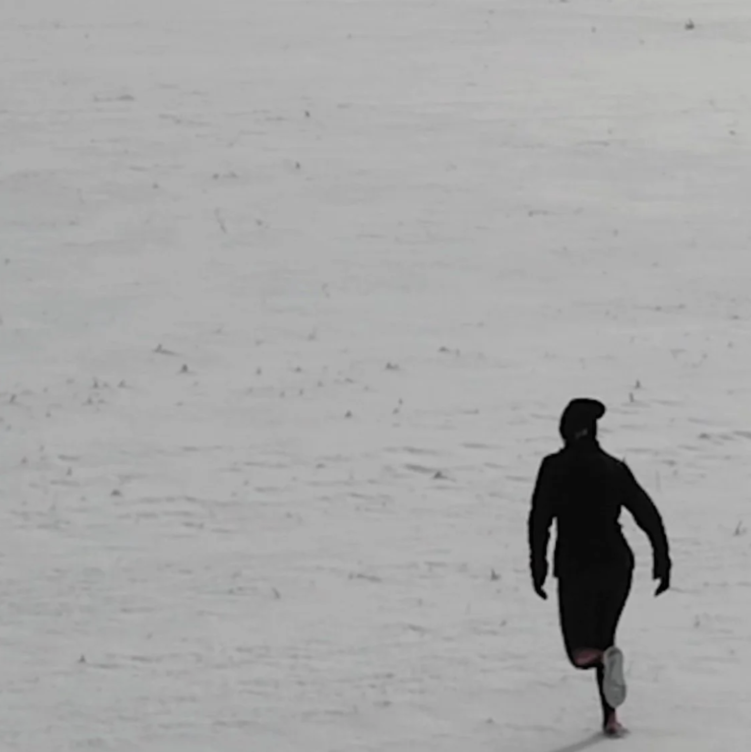  Carali McCall - Horizon / Distance: Snowfield (2024)