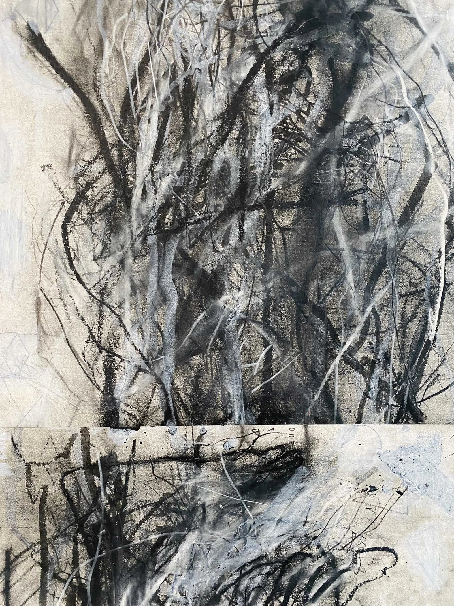 IMG_3389.jpg