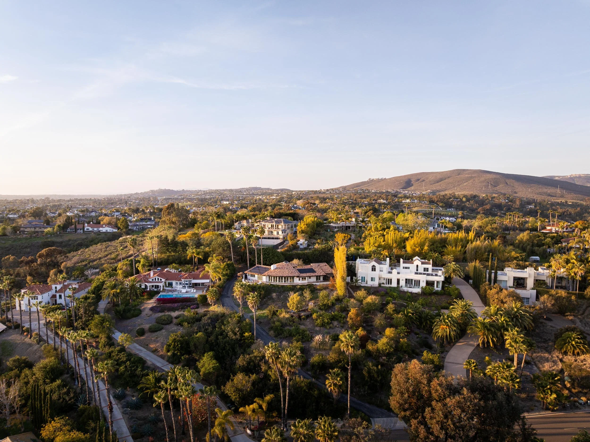 1256 Rancho Encinitas Dr - WEB + MED RES-48.jpg