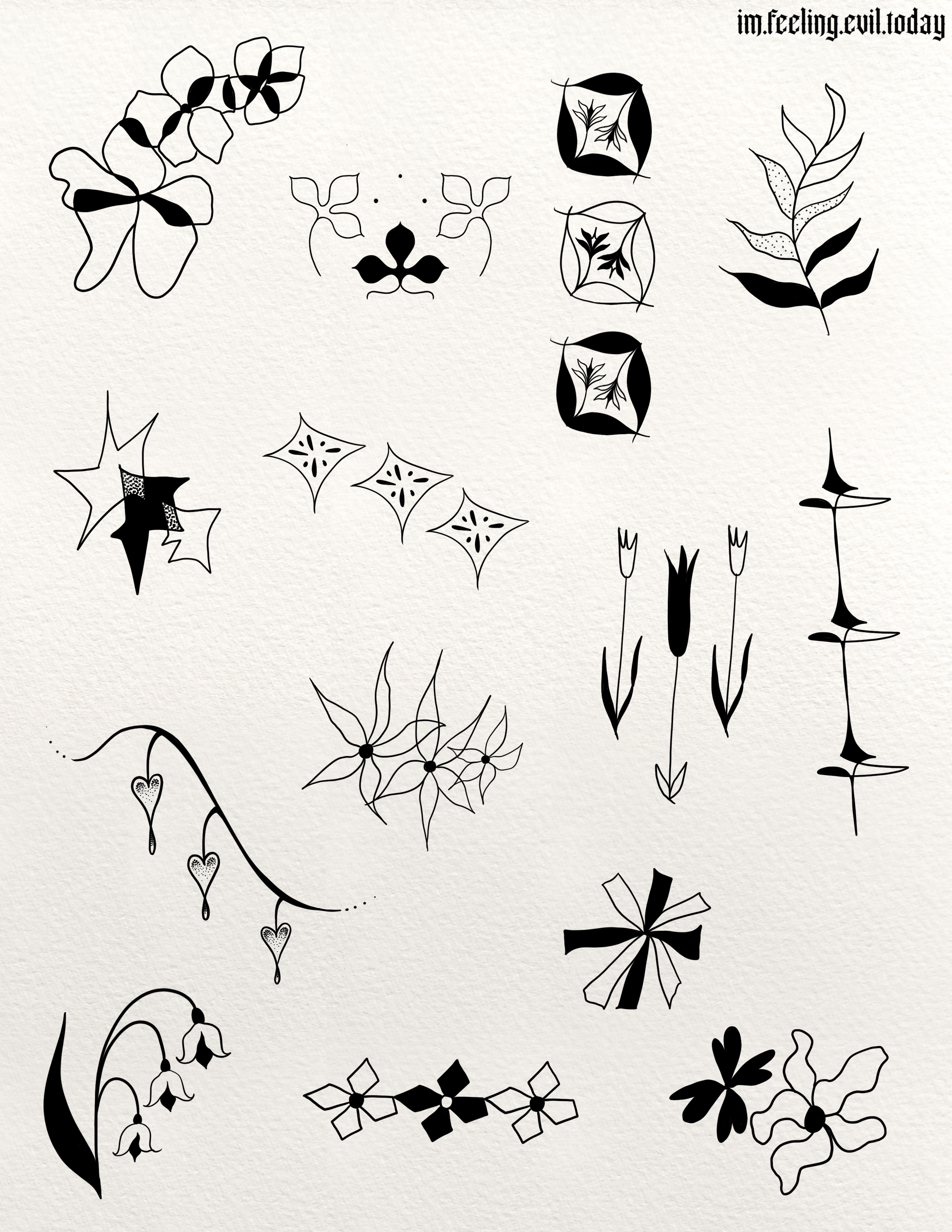 IMG_0224.png