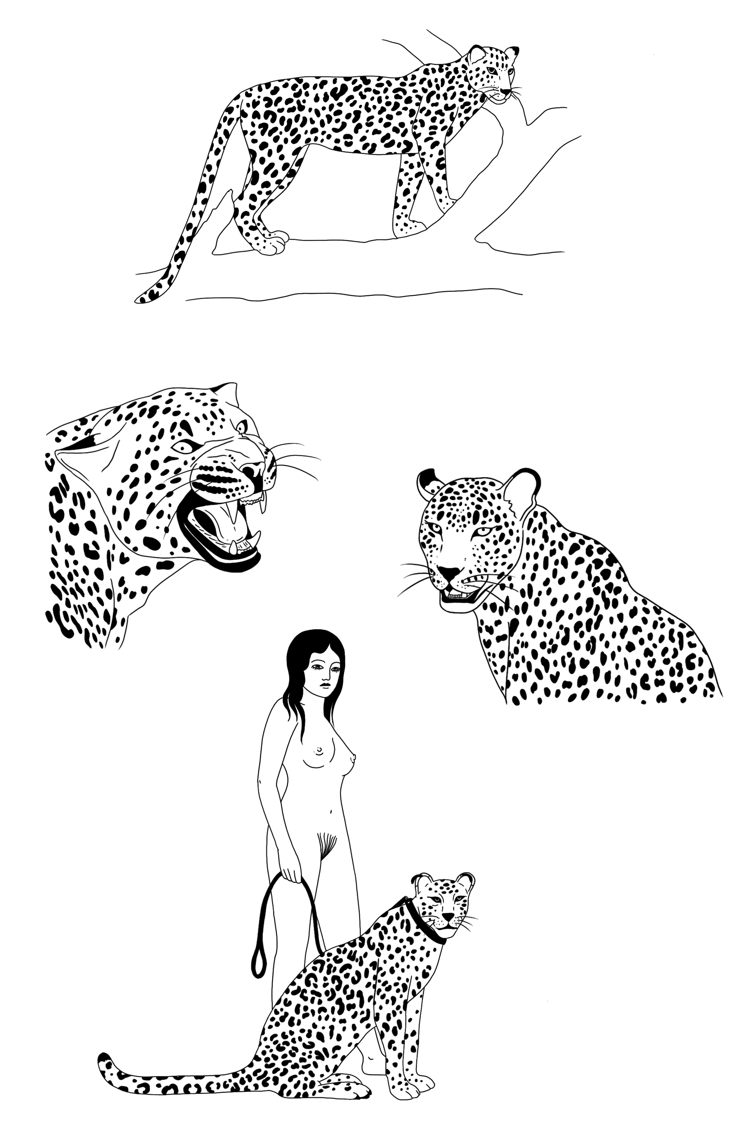 IMG_4691.png