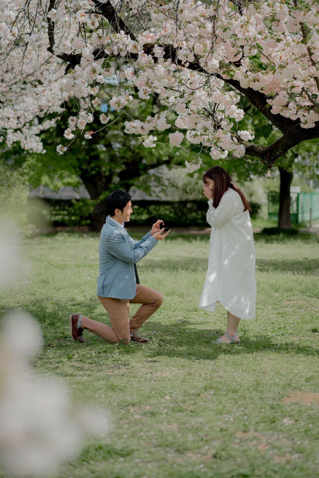Photo My Tokyo Japan Cherry Blossom Proposal Sakura Couple Photography Photo Shoot (1).jpg